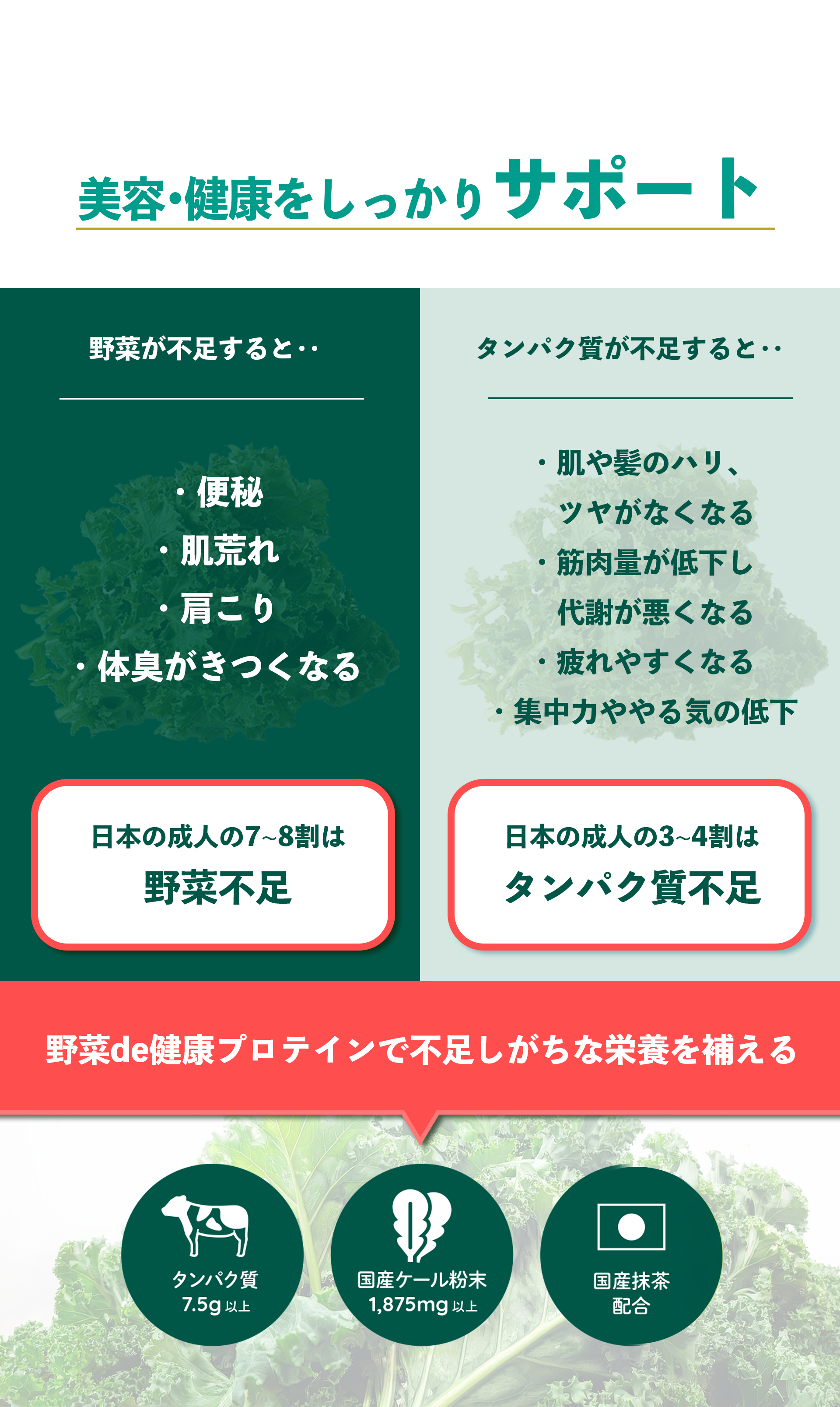 野菜de健康プロテイン